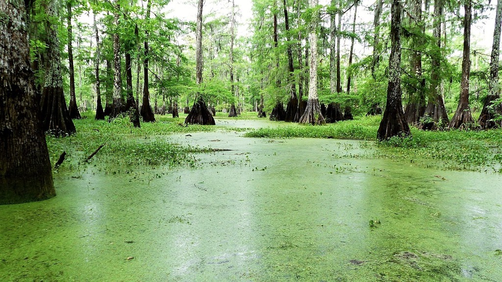 Louisiana